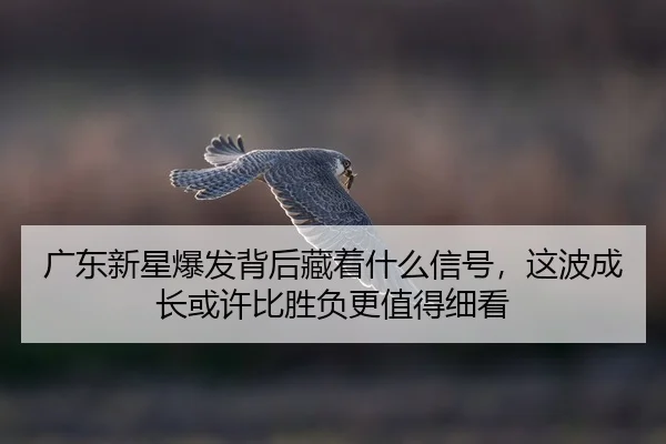 guang-dong-xin-xing-bao-fa-bei-hou-cang-zhe-shen-me-xin-hao-zhe-bo-cheng-zhang-huo-xu-bi-sheng-fu-geng-zhi-de-xi-kan-2-886.jpg